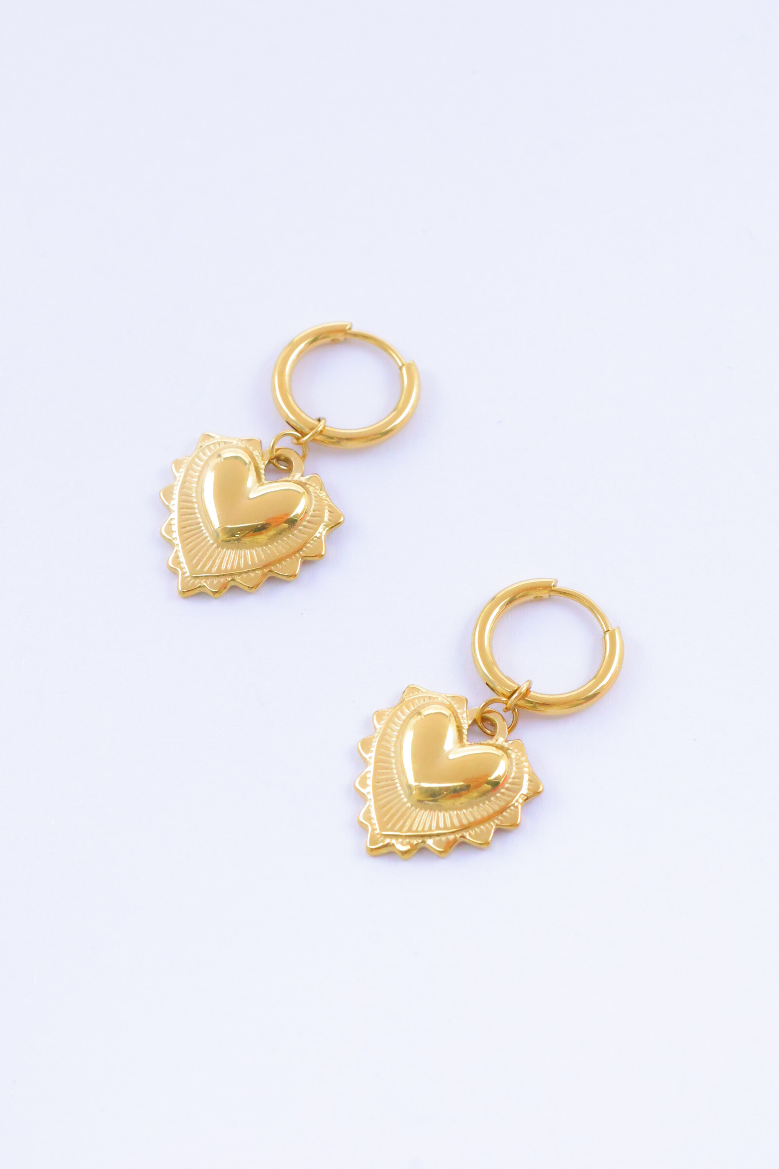 Wholesaler Bijoux Mystères - Stainless steel earrings