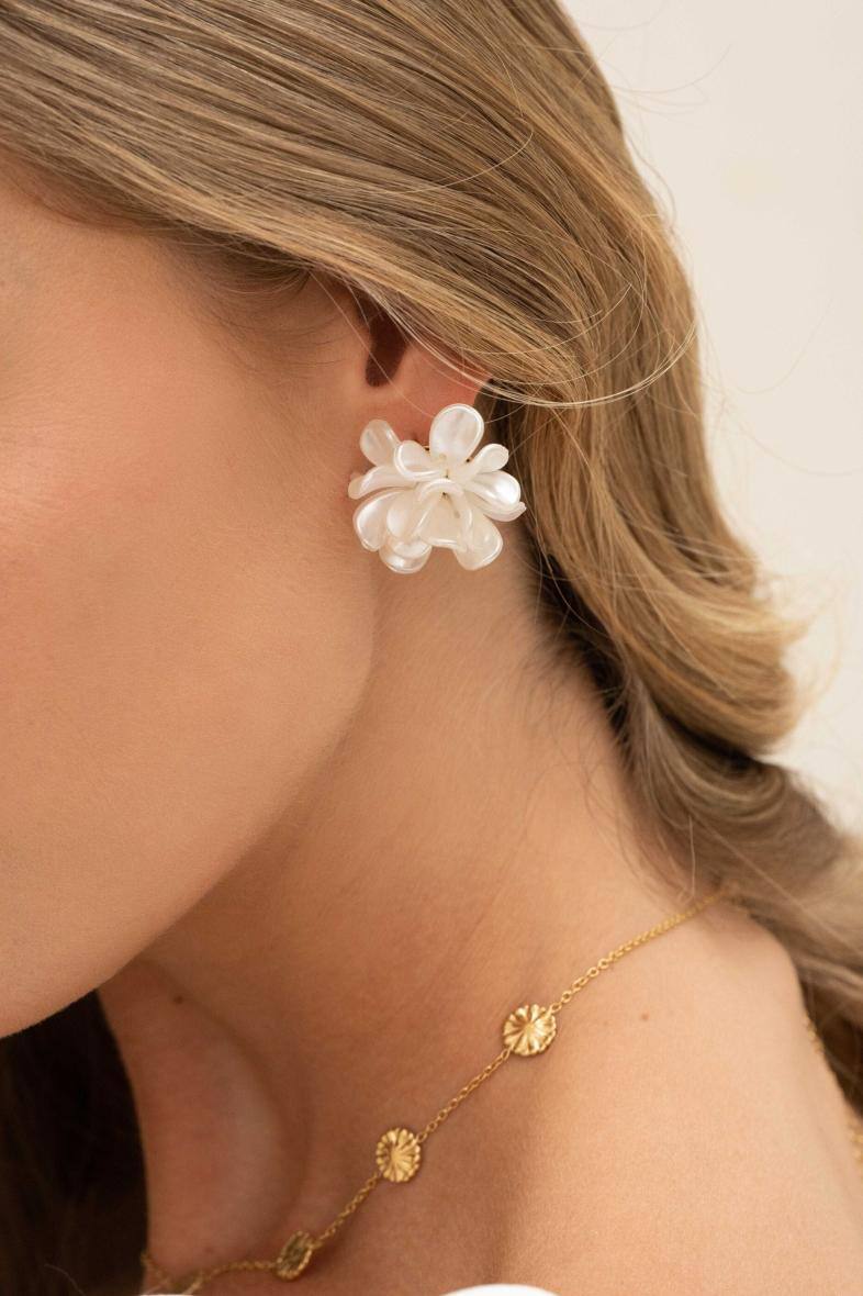 Grossiste Bohm - Boucles Iris