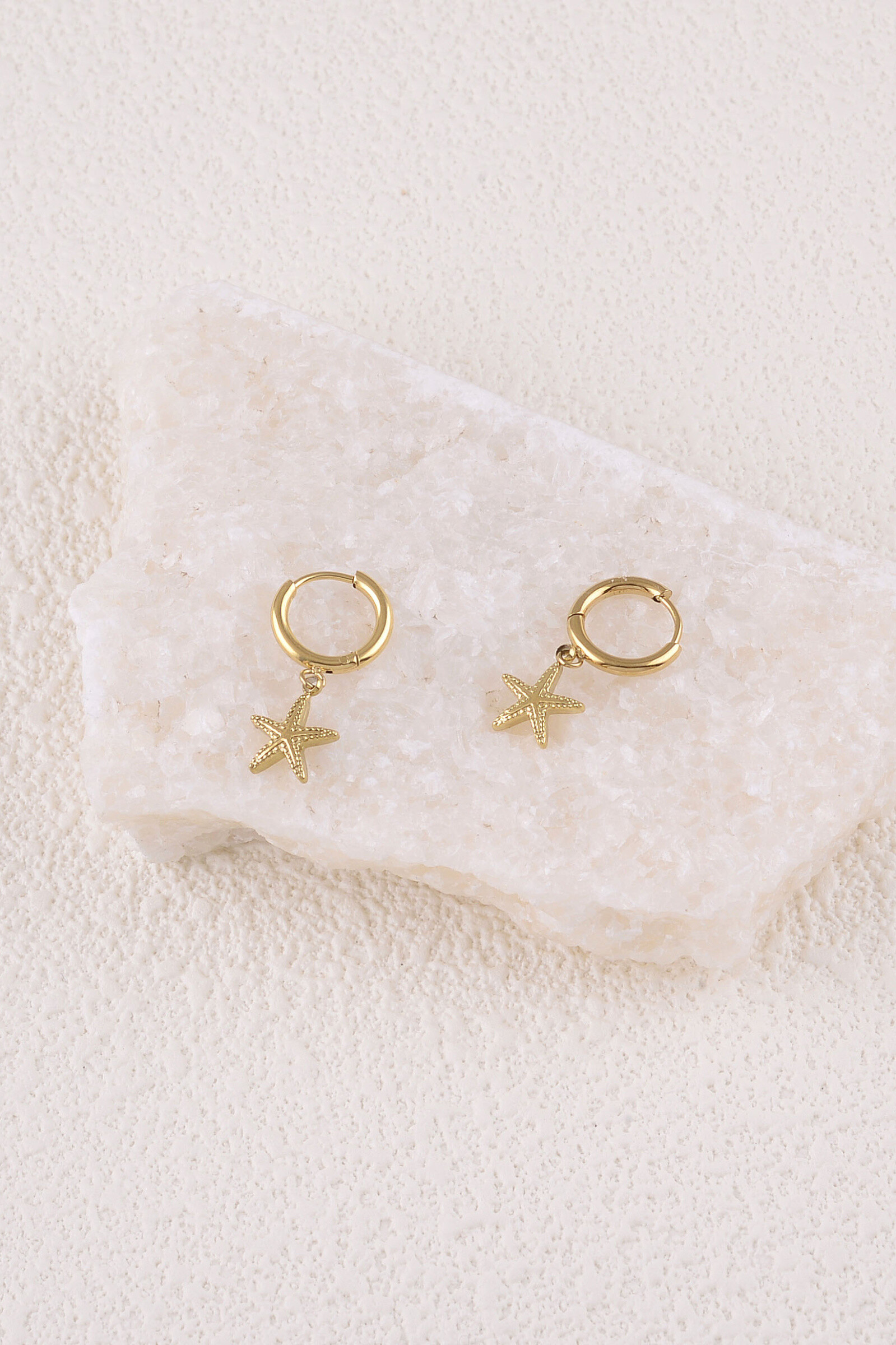 Wholesaler Bohm - Creoles - textured sea star