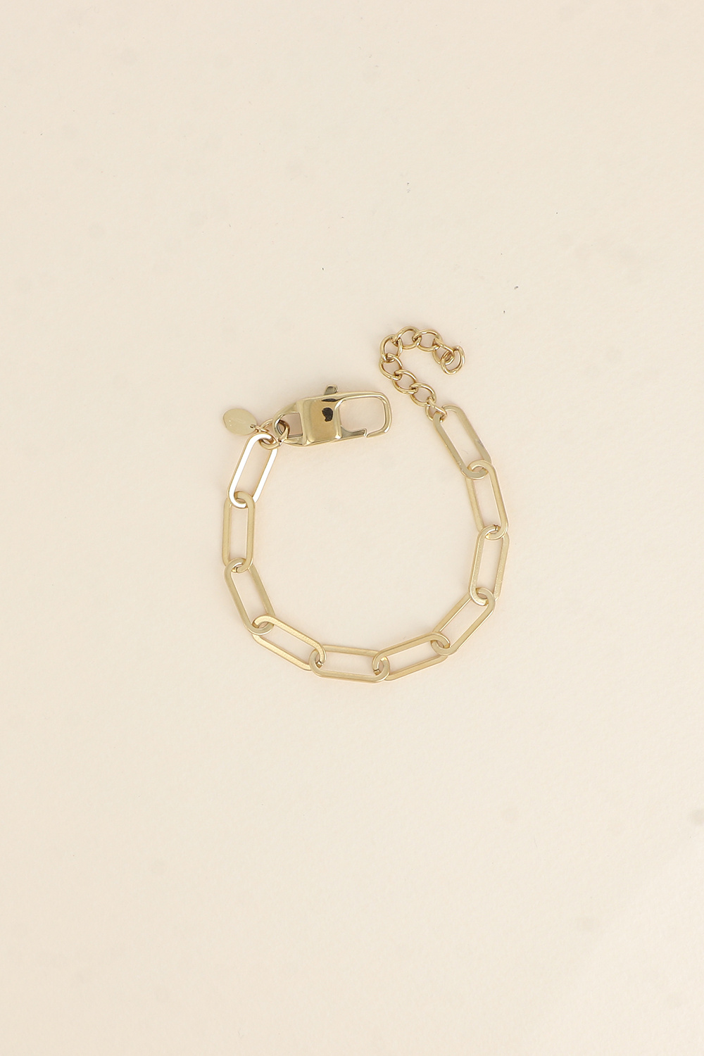 Wholesaler Bohm - Bracelet - elongated oval link chain