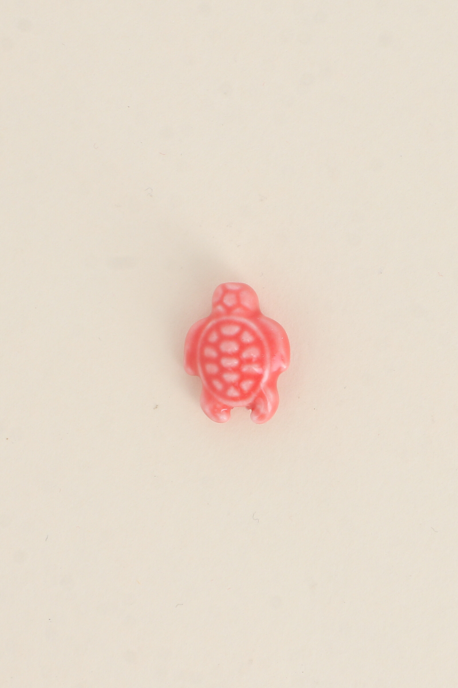 Mayorista Bohm - Tortuga de cerámica y tortuga de esmalte: vendida por 5 pcs