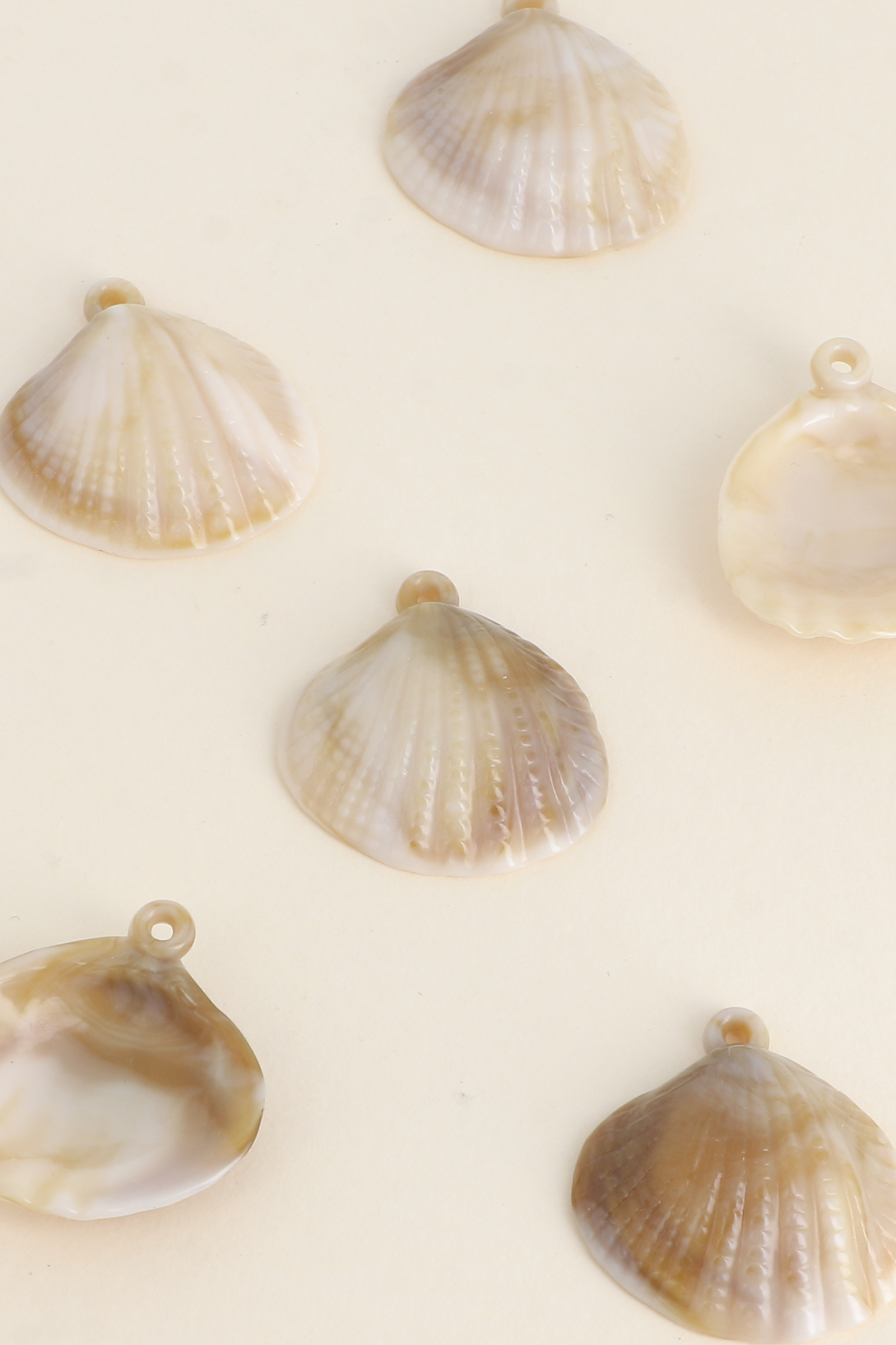 Grossiste Bohm - Coquillage M en résine, vendu par 6 pièces