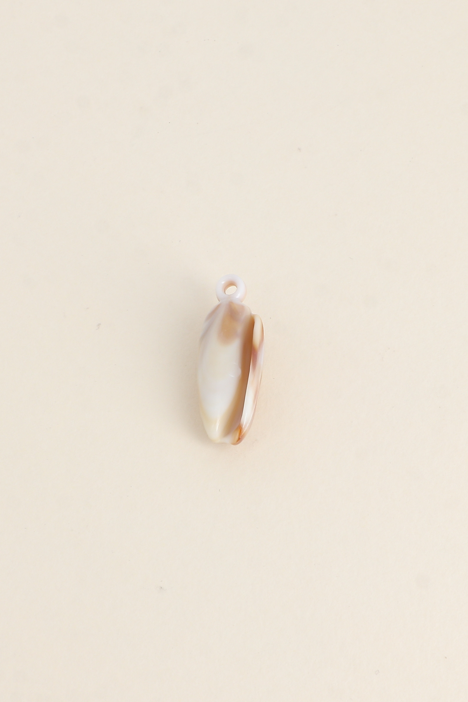 Grossiste Bohm - Perle Coquillage S en résine, vendu par 6 pièces