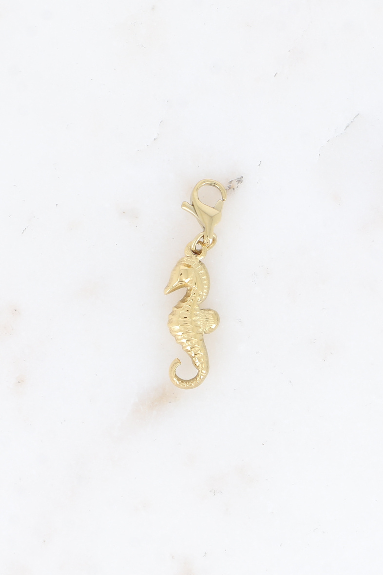 Mayorista Bohm - Charm - caballito de mar de acero inoxidable