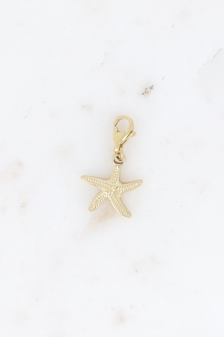 Grossiste Bohm - Charm - étoile de mer striée