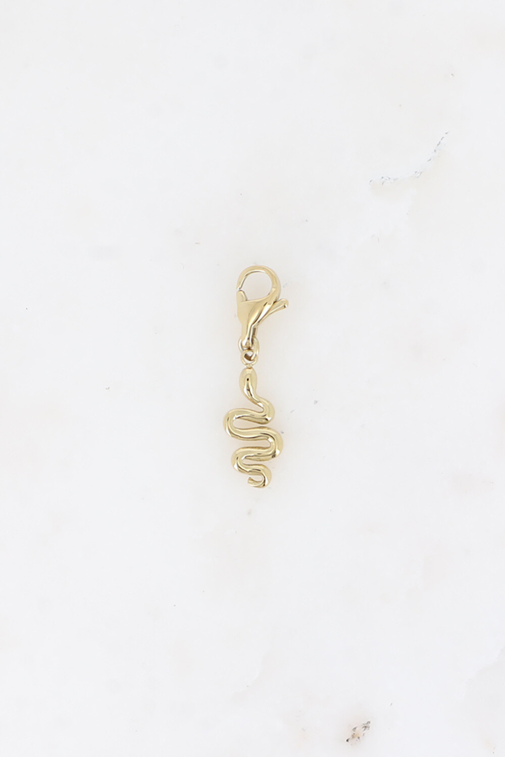 Wholesaler Bohm - Charm - stainless steel snake