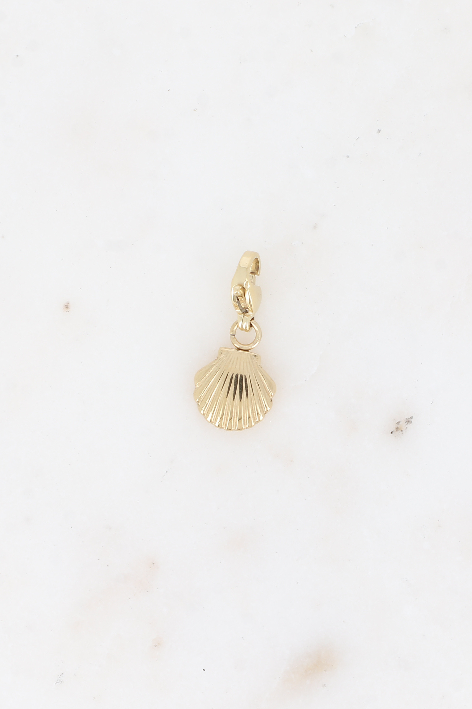 Grossiste Bohm - Charm - coquillage