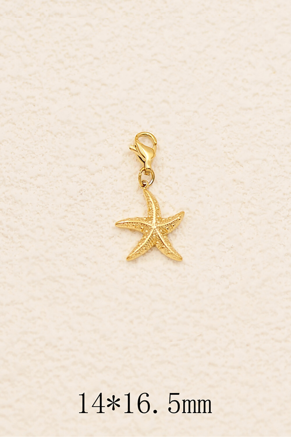 Großhändler Bohm - Charm - Sea Star