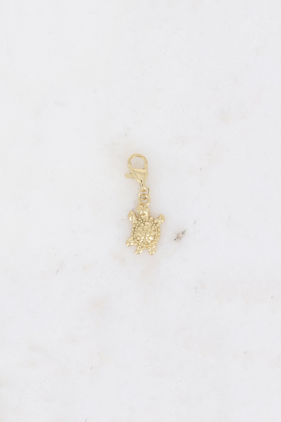 Grossista Bohm - Charm - Turtle
