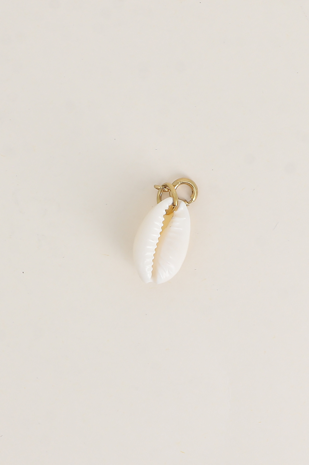 Wholesaler Bohm - Charm - natural cowrie