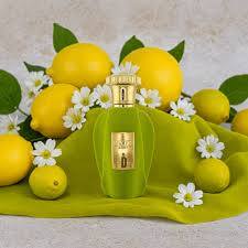 Großhändler Brand Access Dubai Perfume - Voux Zingy PARIS CORNER