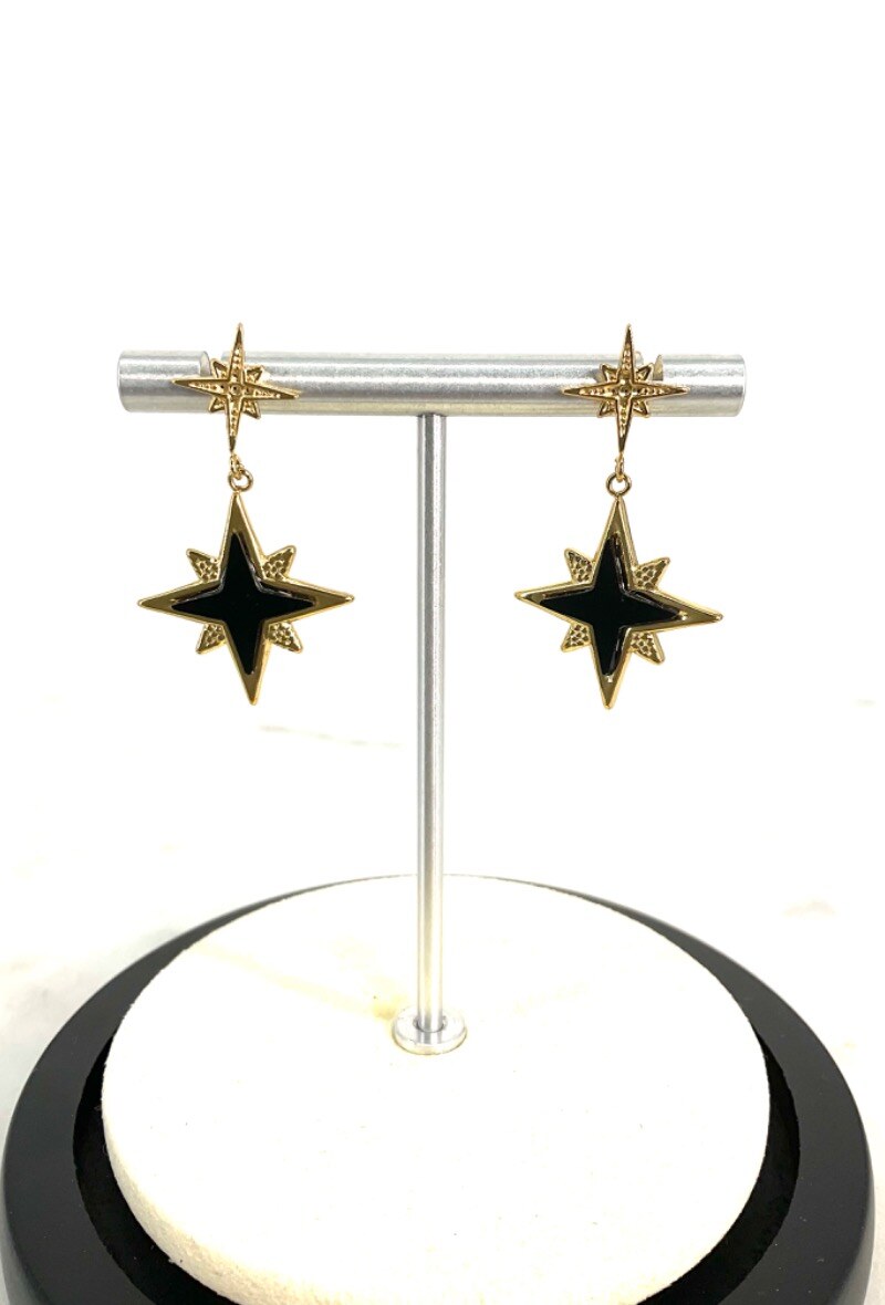Wholesaler BULGATINE - STEELS EARRINGS