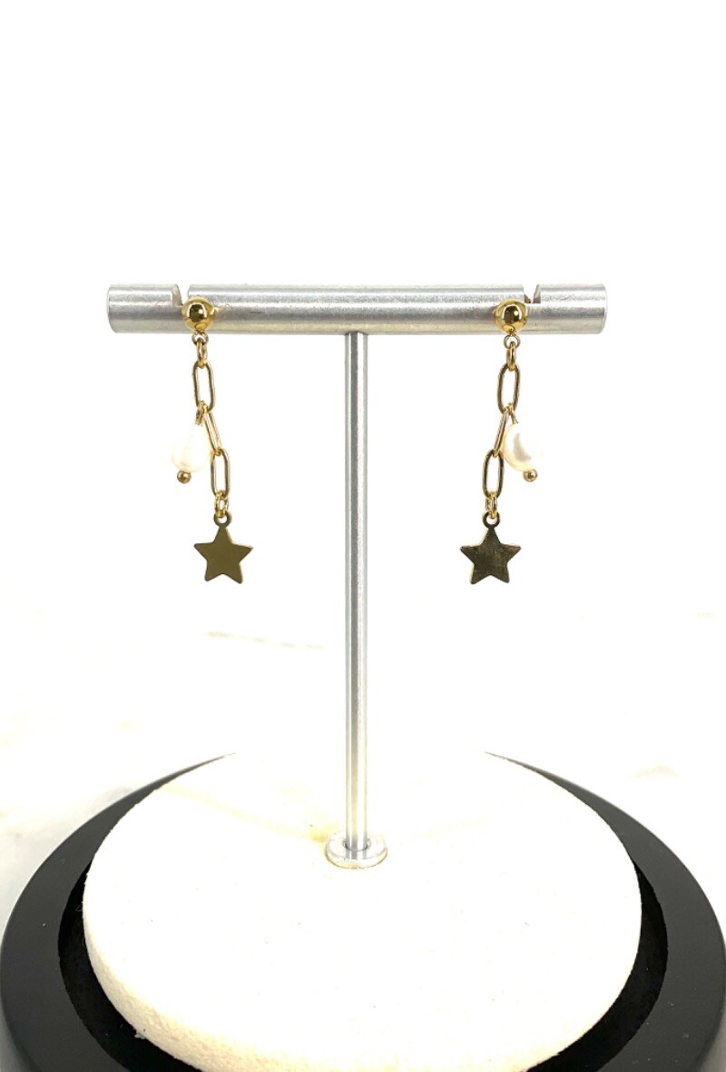 Wholesaler BULGATINE - STEELS EARRINGS