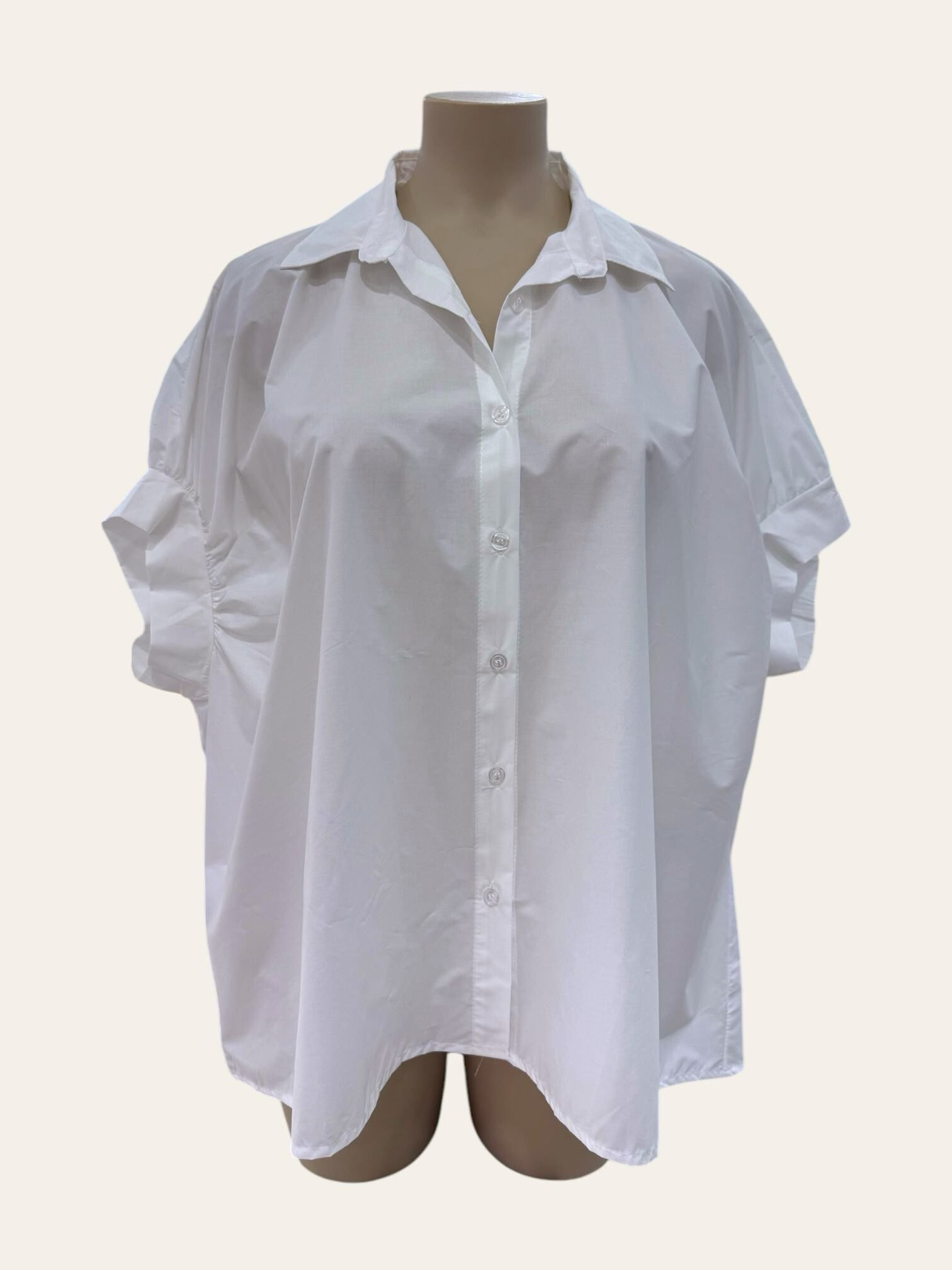 Grossiste C'MELODIE - Grande Taille Chemise Popeline Premium - Confort et Élégance