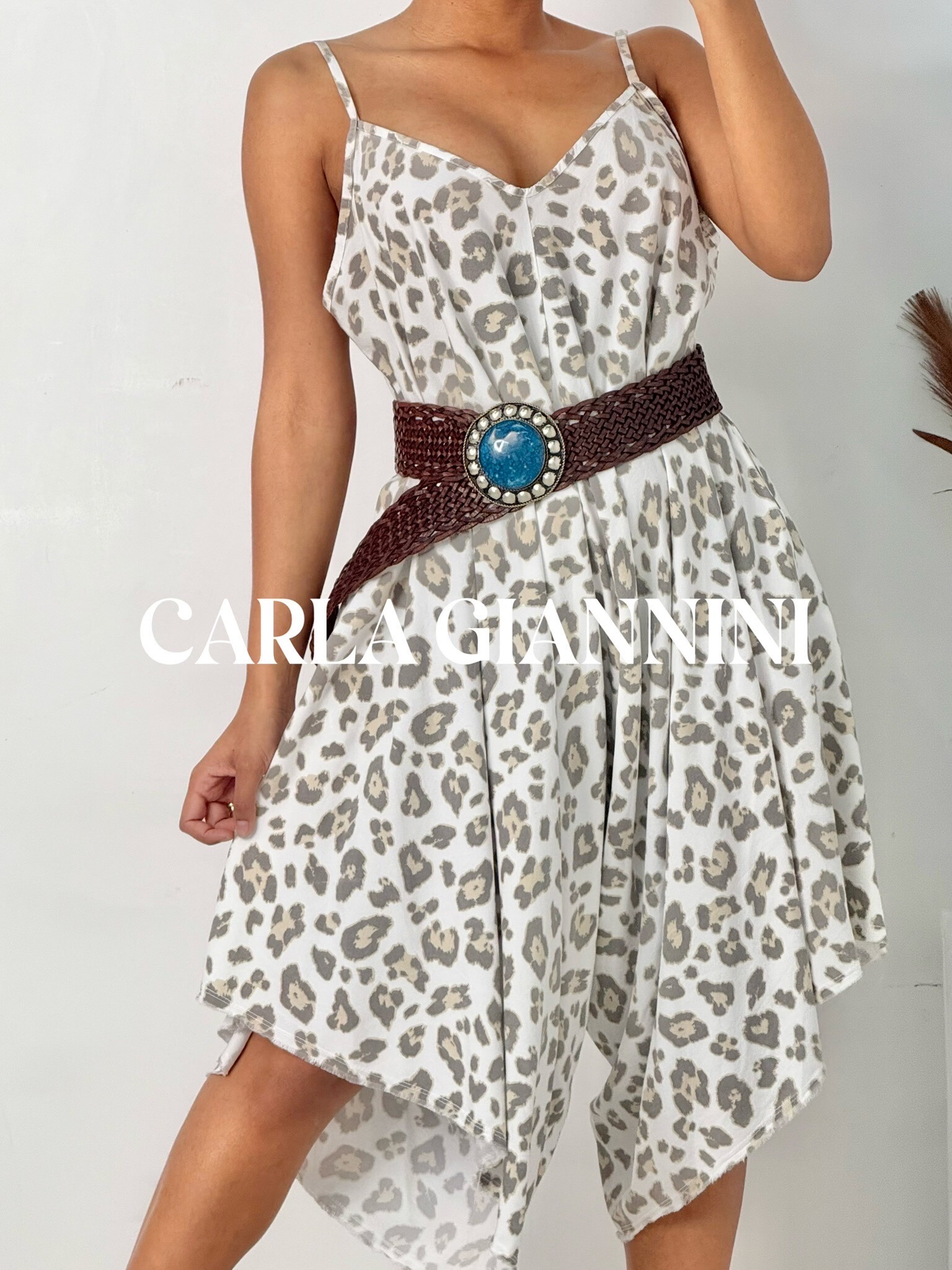 Mayorista Carla Giannini - combi