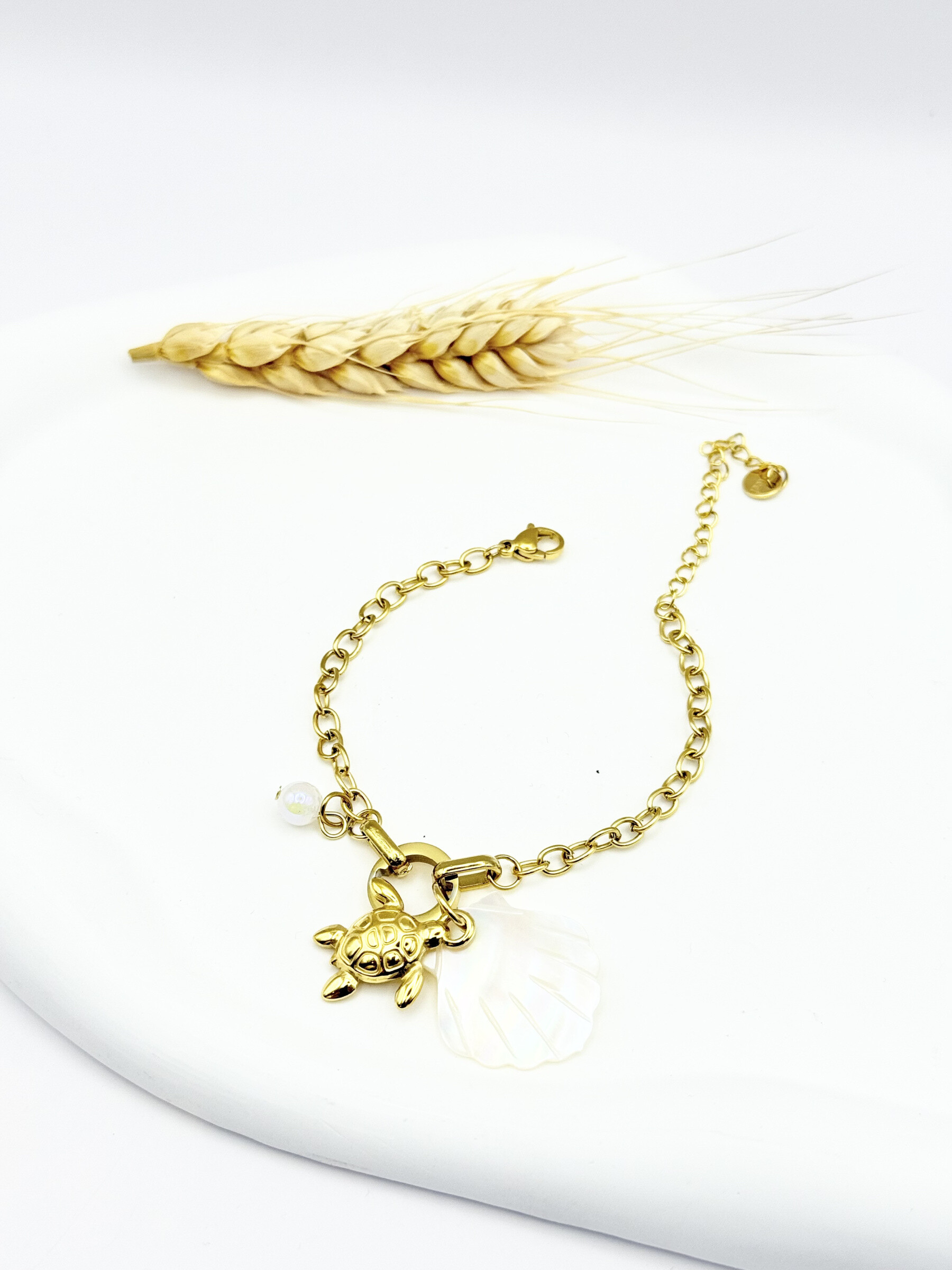 Wholesaler Ceramik - Turtle and shell bracelet - golden stainless steel