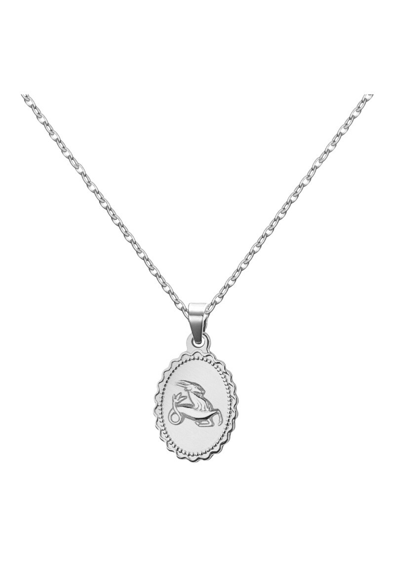 Wholesaler Ceramik - Necklace (Capricorn) Stainless steel signs of the Zodiac, with a 45cm Chain + 5cm extension