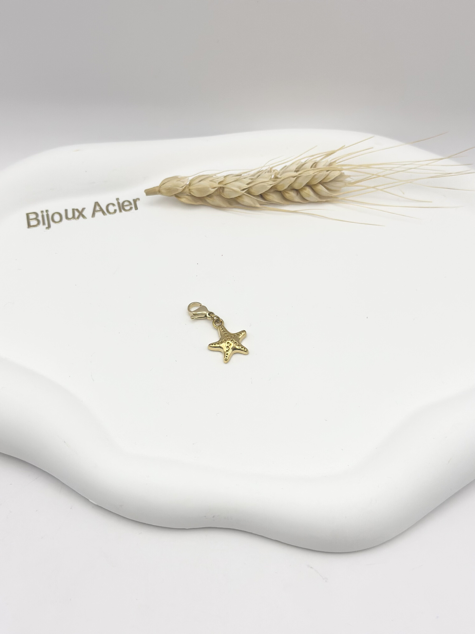 Grossiste Ceramik - Charm Pendentif Étoile de Mer Texturée – Acier Inoxydable Doré