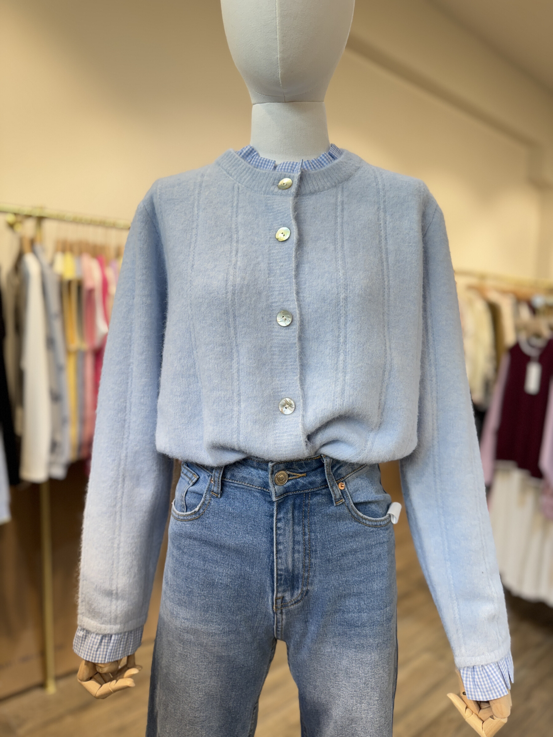 Wholesaler Cerise Blue - Vichy collar vest