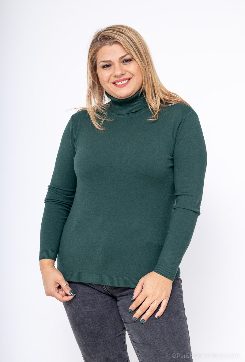 Wholesaler CMP55 - pullover soft polo neck large size