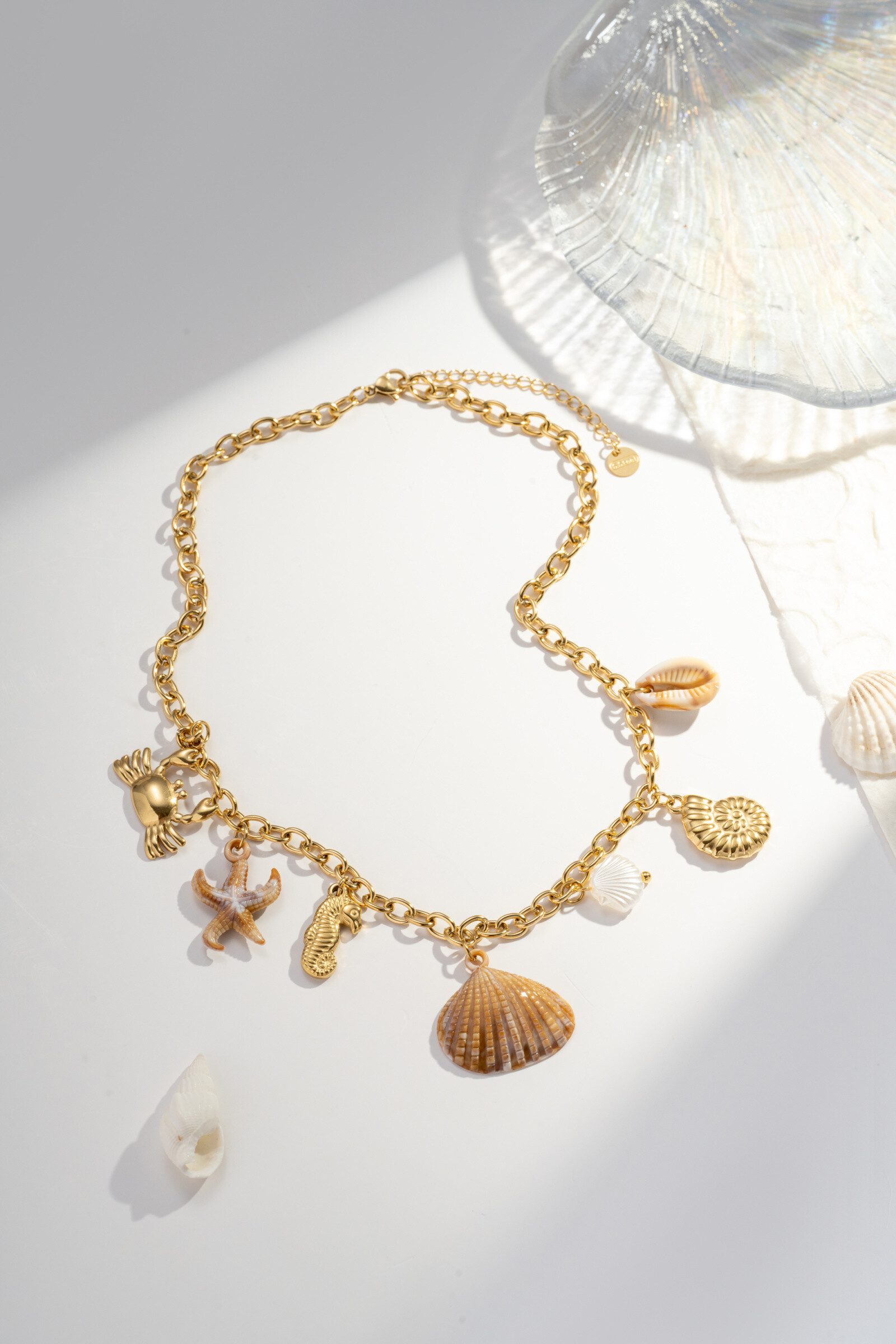 Wholesaler COSMOS - Charm necklace seashell Oceanic Treasure Stainless steel