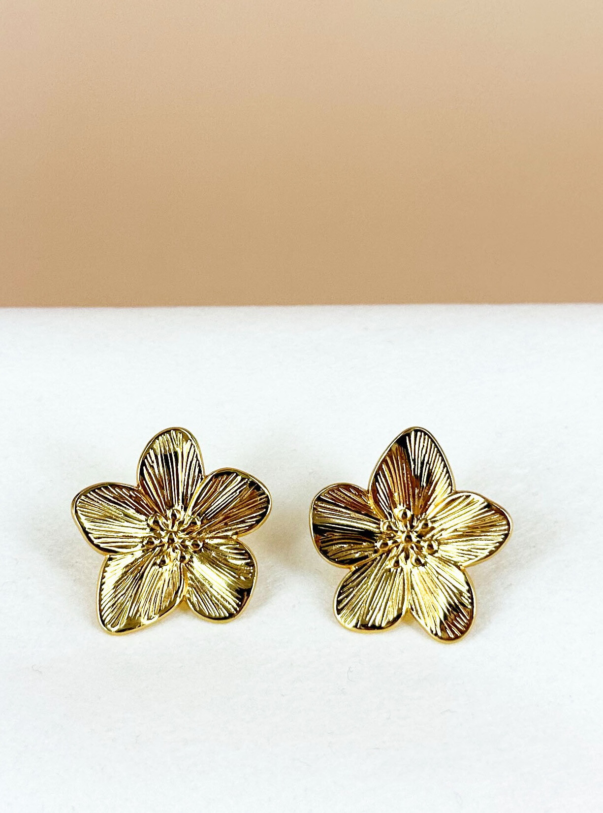 Wholesaler D Bijoux - Stainless steel earrings