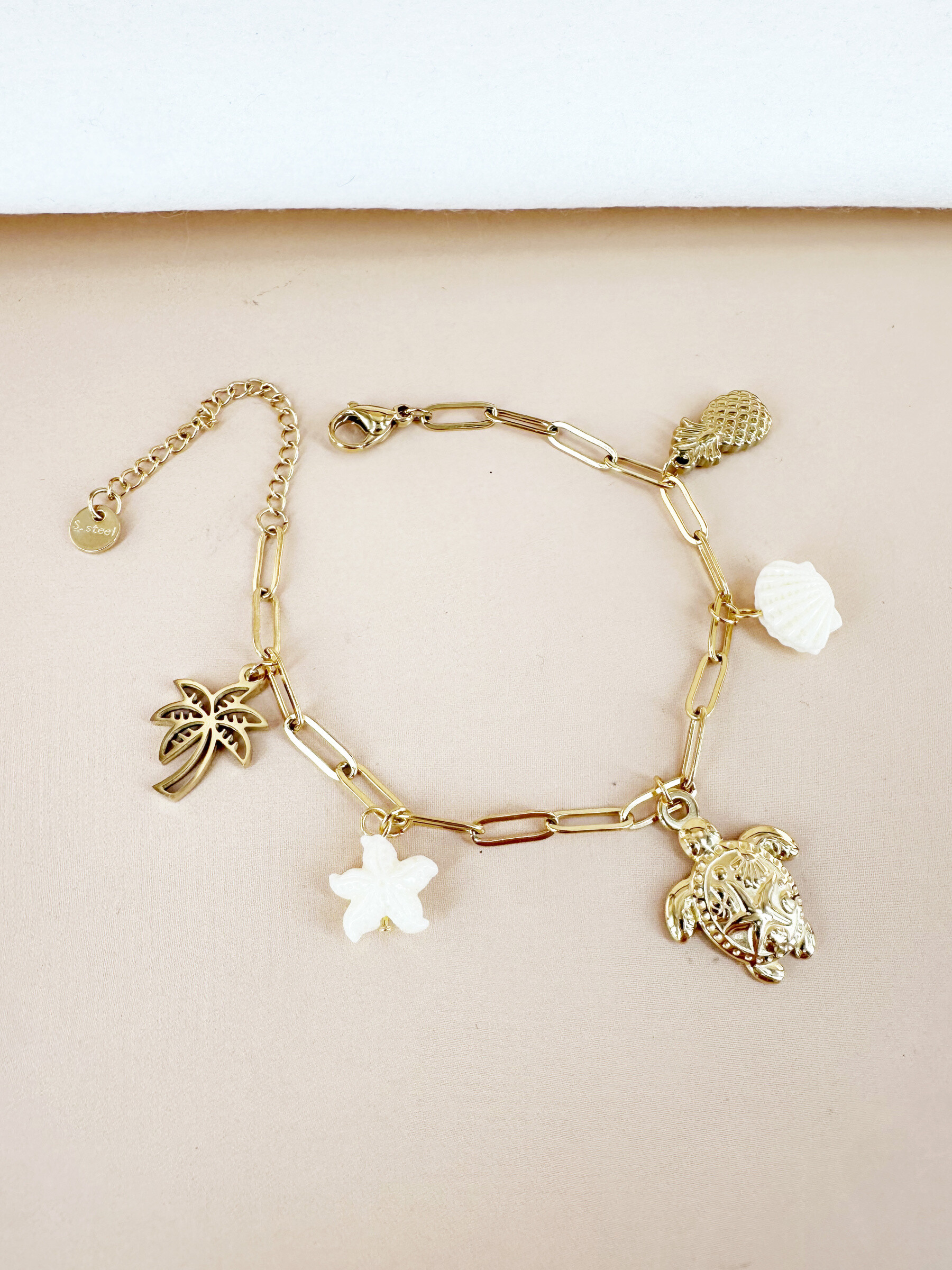 Mayorista D Bijoux - Pulsera de tortuga de carmos, carcasa y acero inoxidable