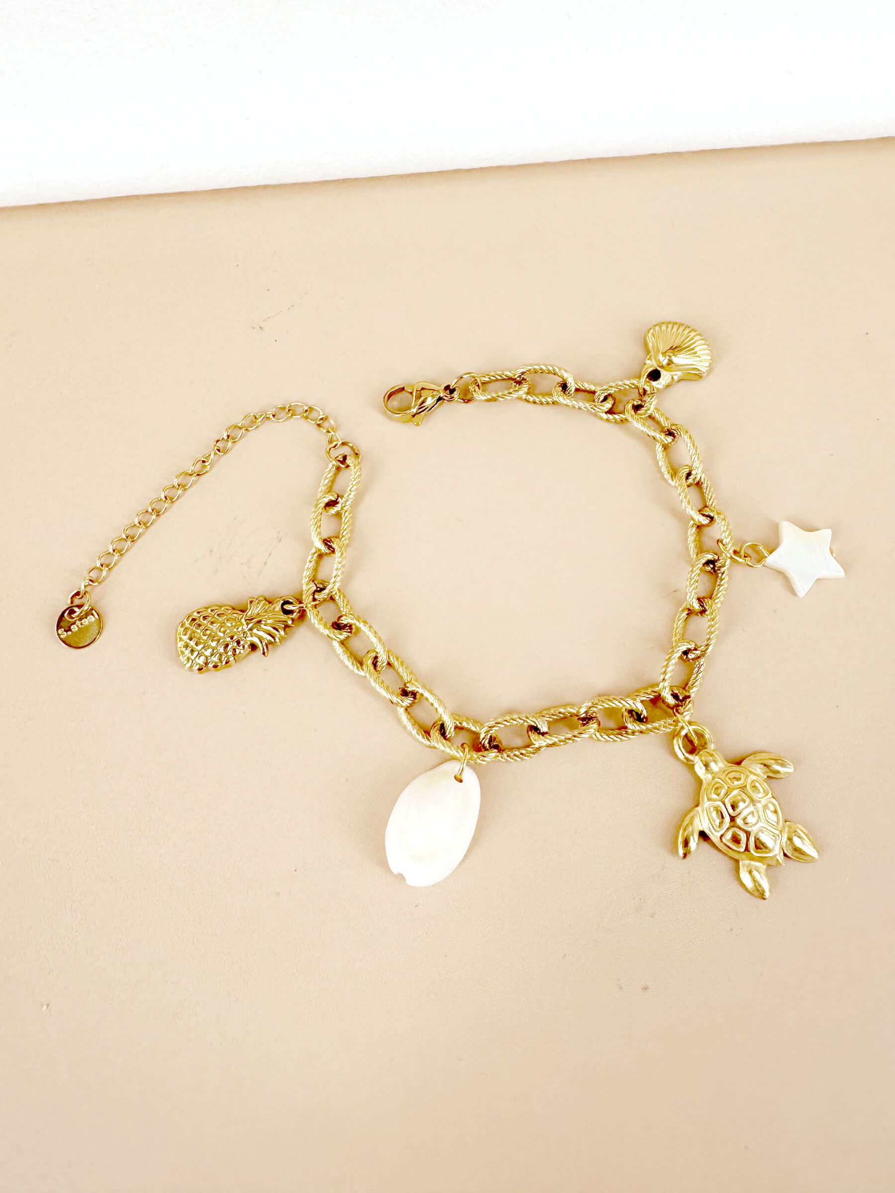 Mayorista D Bijoux - Brazalete de encanto de tortuga, carcasa de acero inoxidable