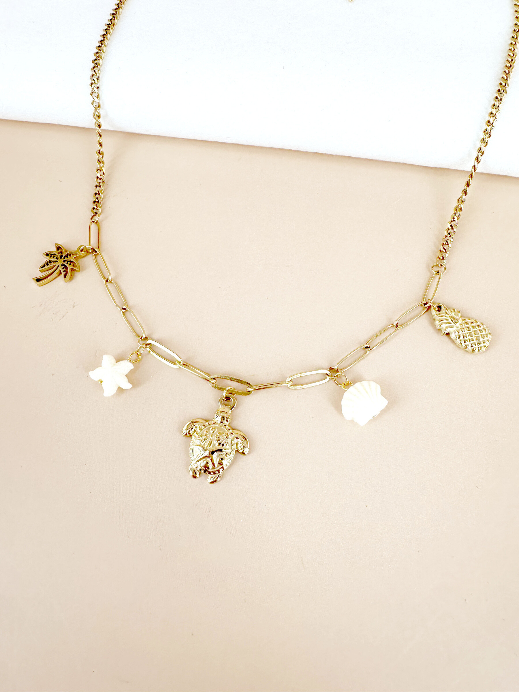 Wholesaler D Bijoux - Stainless steel turtle and shell charm necklace
