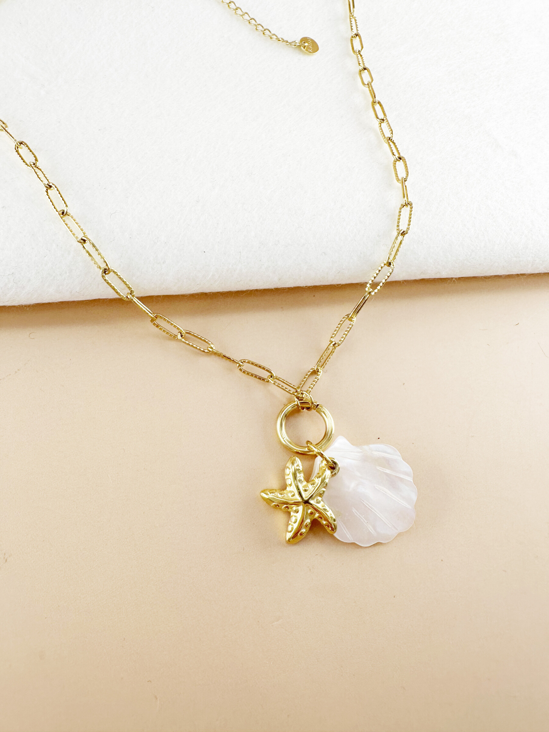 Wholesaler D Bijoux - Stainless steel shell and starfish charms necklace