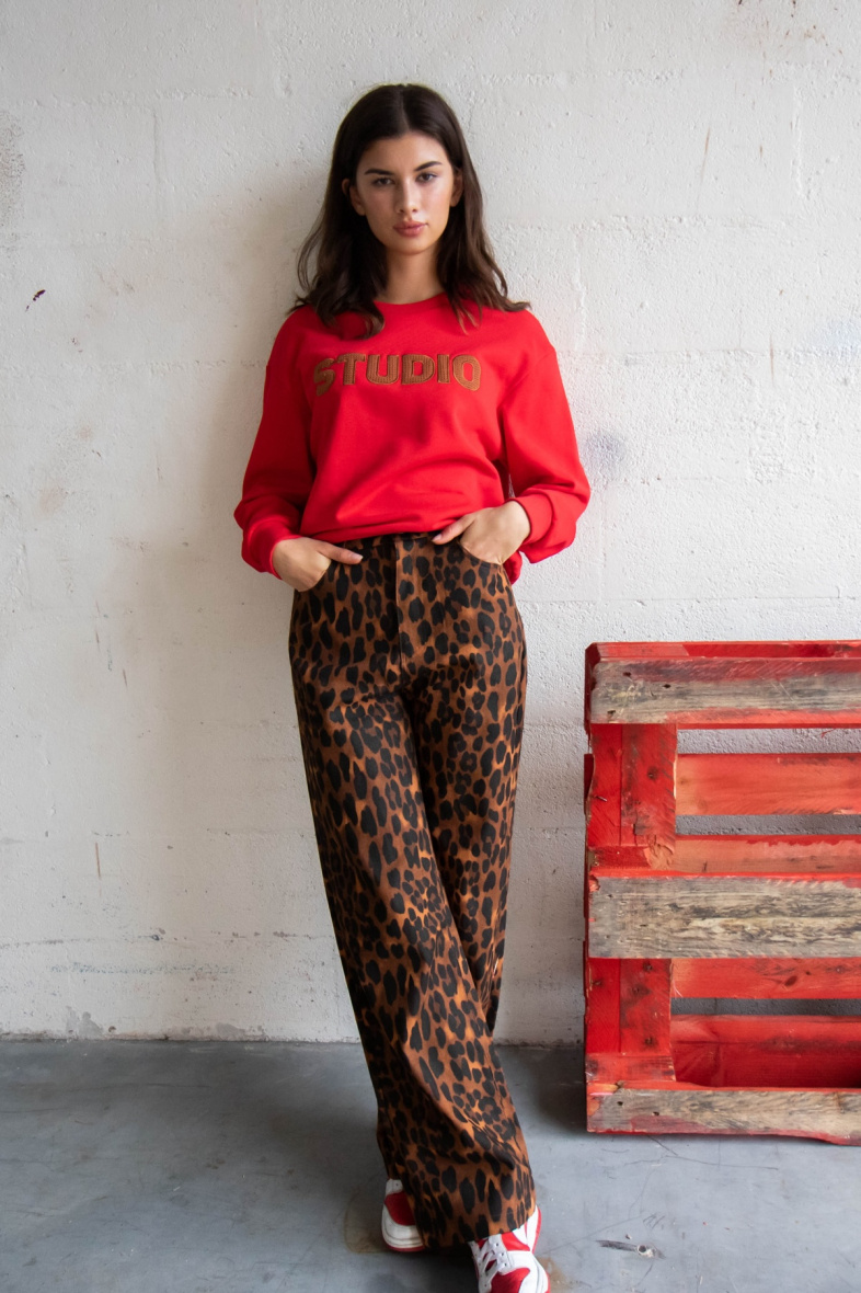 Wholesaler DAPHNEA - LEOPARD PATTERN TROUSERS