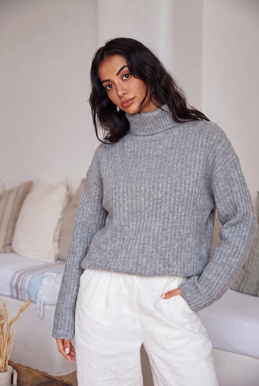 Grossiste DIVA TEX - Pull col roulé