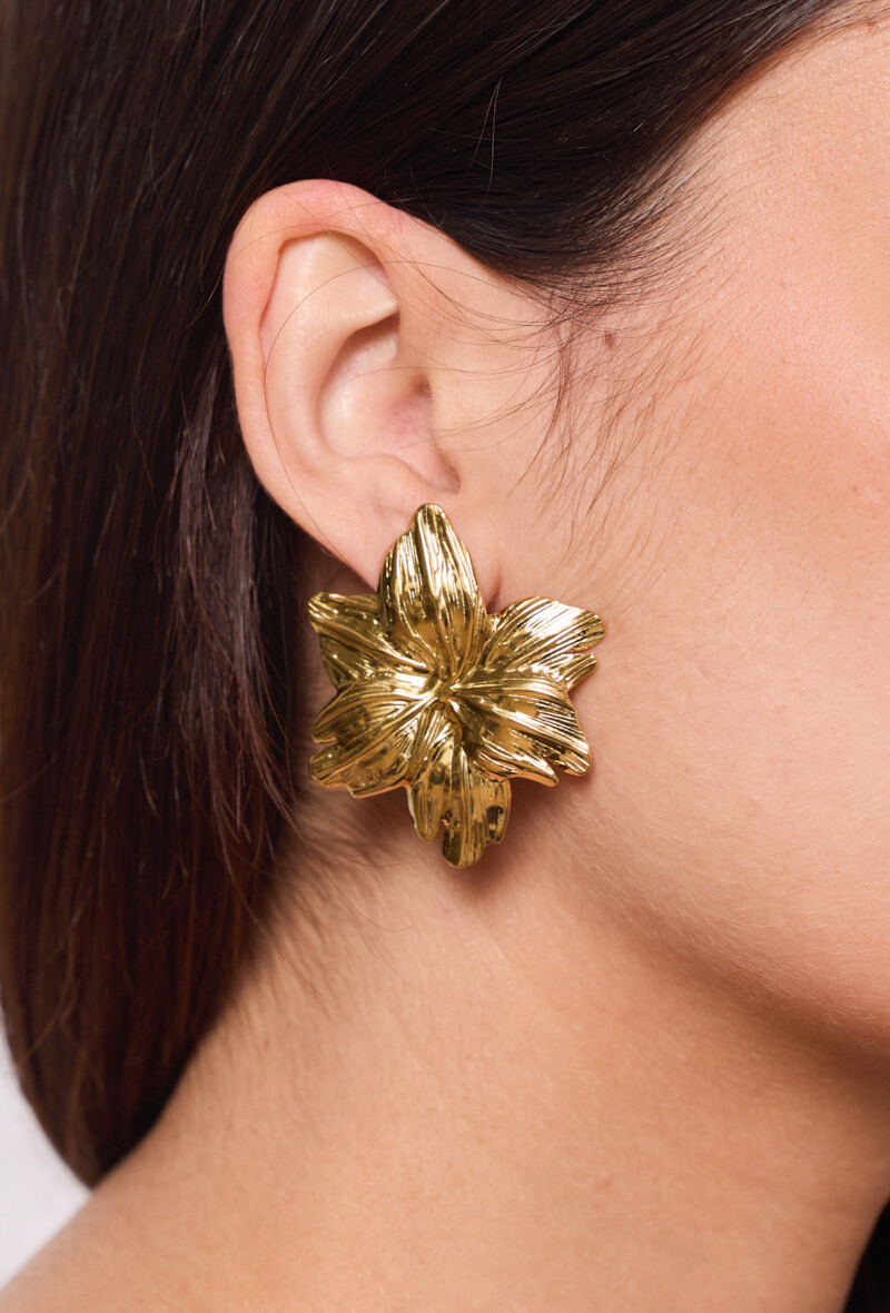 Wholesaler ÉLINE L'ATELIER - Earrings in stainless steel