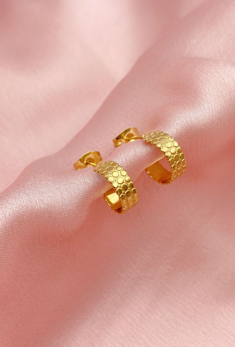 Wholesaler Emily - Stainless steel earrings