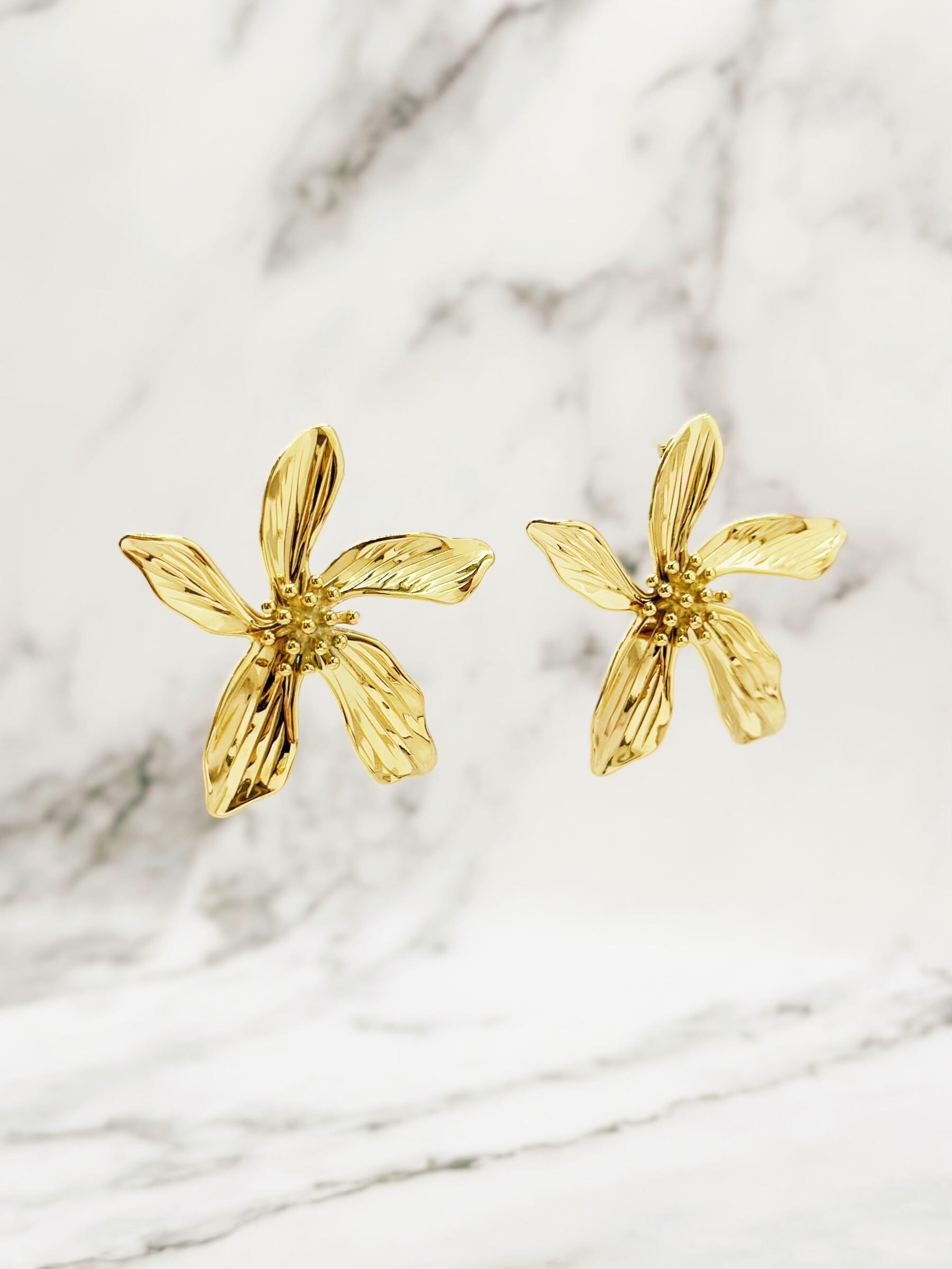 Wholesaler Emily - Creole stainless steel earrings