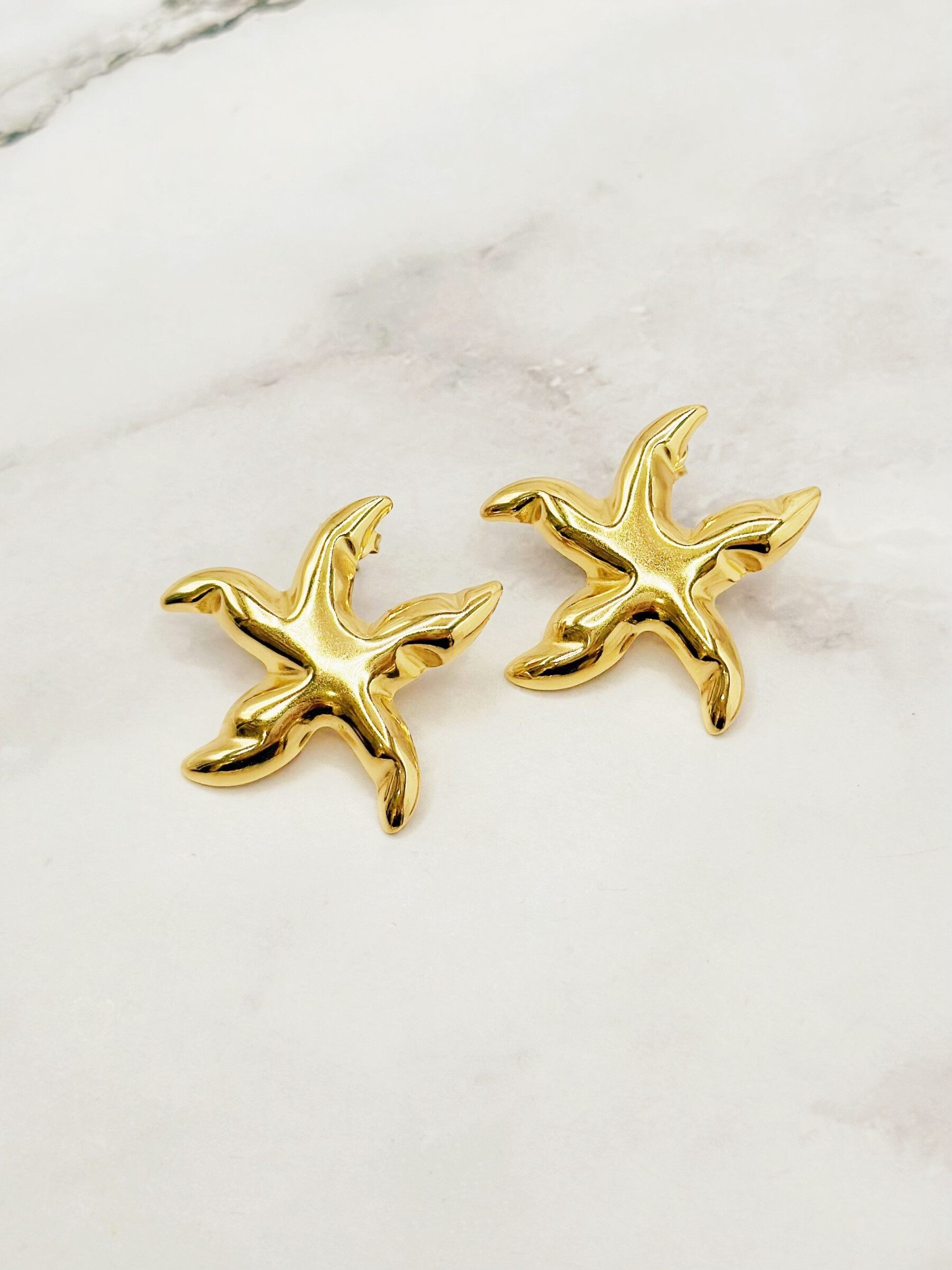 Wholesaler Emily - Stainless steel earrings CHarms
