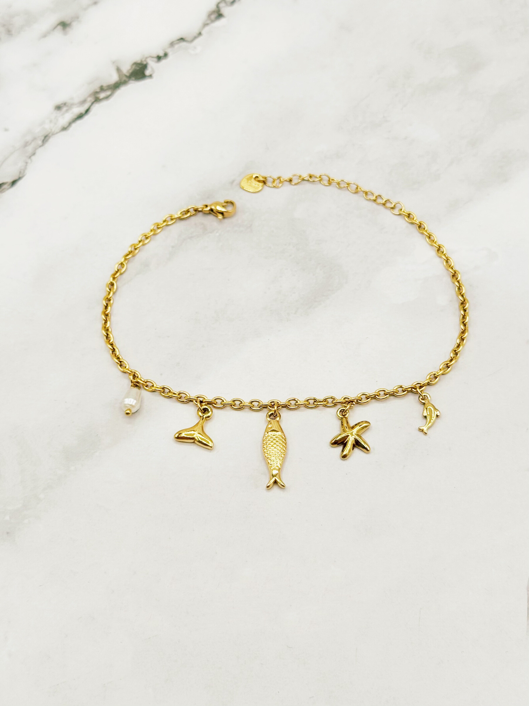 Wholesaler Emily - Stainless steel anklet Shells