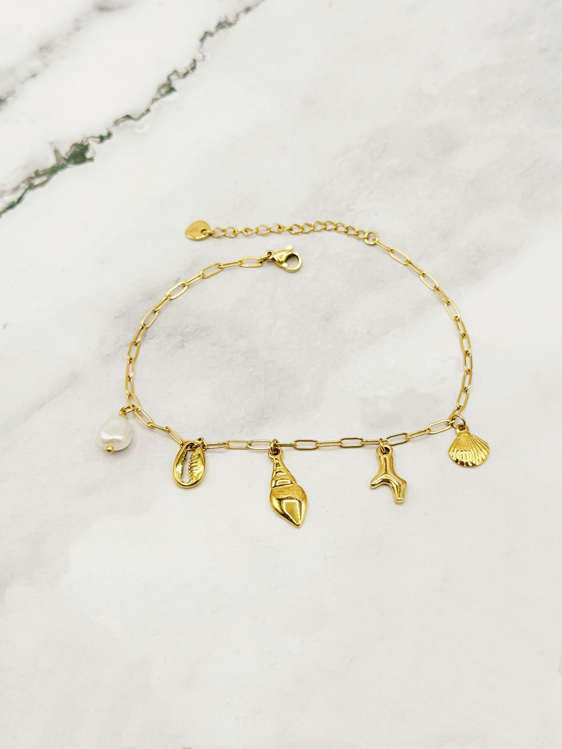 Wholesaler Emily - Stainless steel anklet Shells