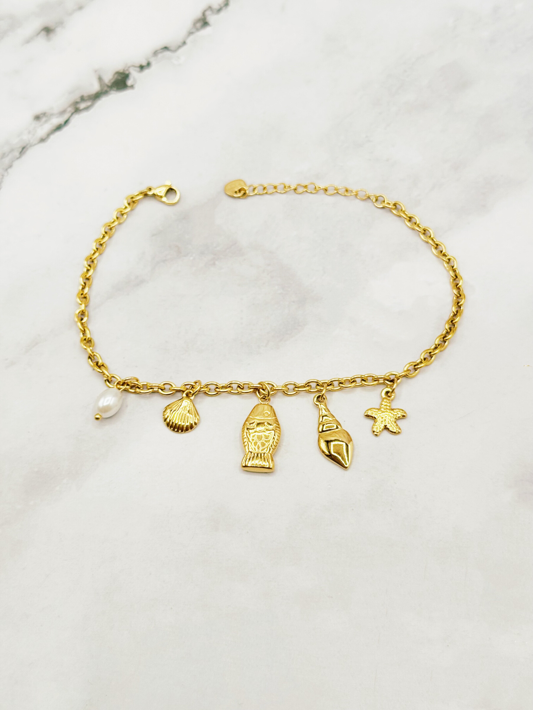 Wholesaler Emily - Stainless steel anklet Shells