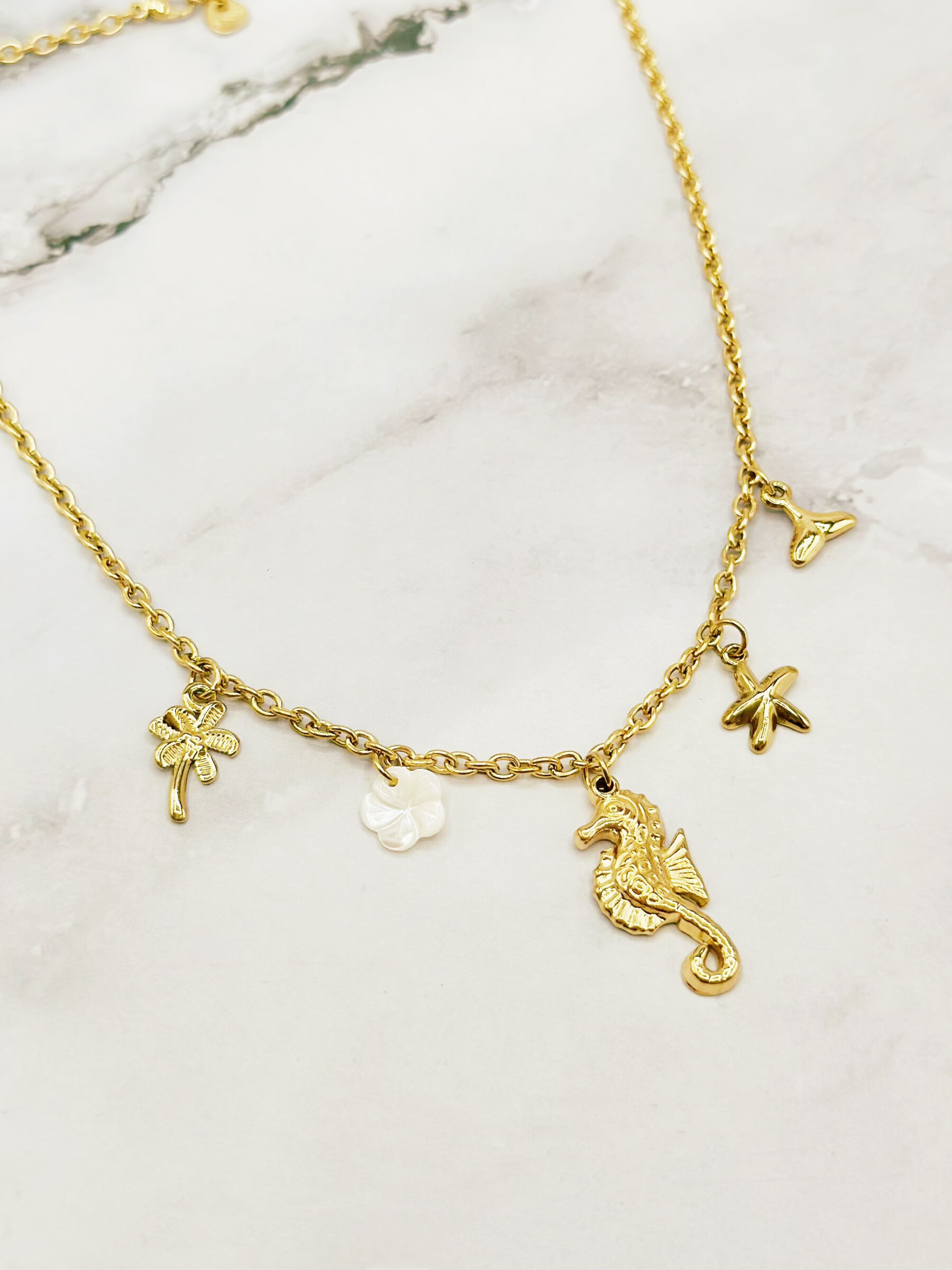 Wholesaler Emily - Adjustable stainless steel necklace Charms