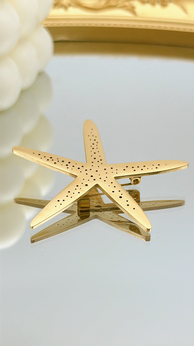 Wholesaler EMMASH BIJOUX - STARFISH BROOCH IN STAINLESS STEEL