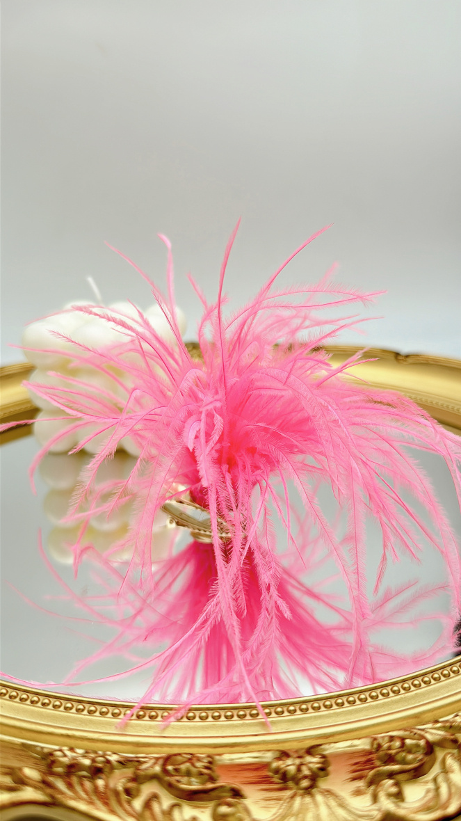 Wholesaler EMMASH BIJOUX - OSTRICH FEATHERS HAIR BROOCH OR CLIP