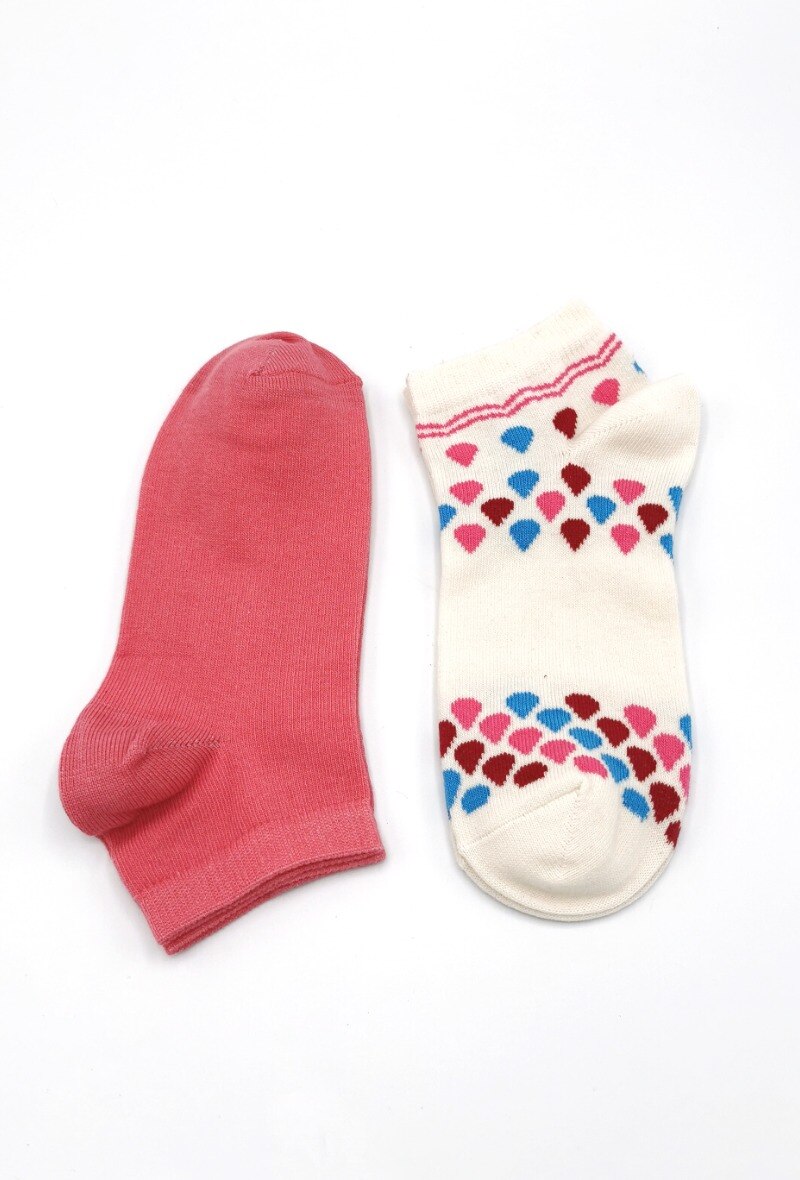 Wholesaler Fabsox - SHELL