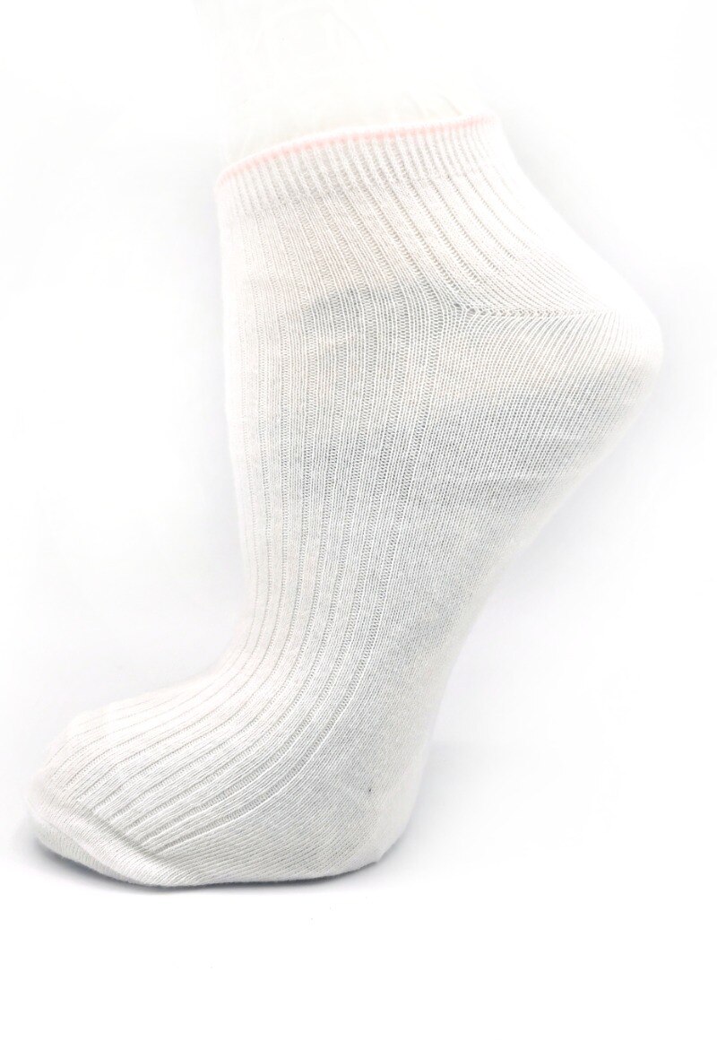 Wholesaler Fabsox - COLORS 4