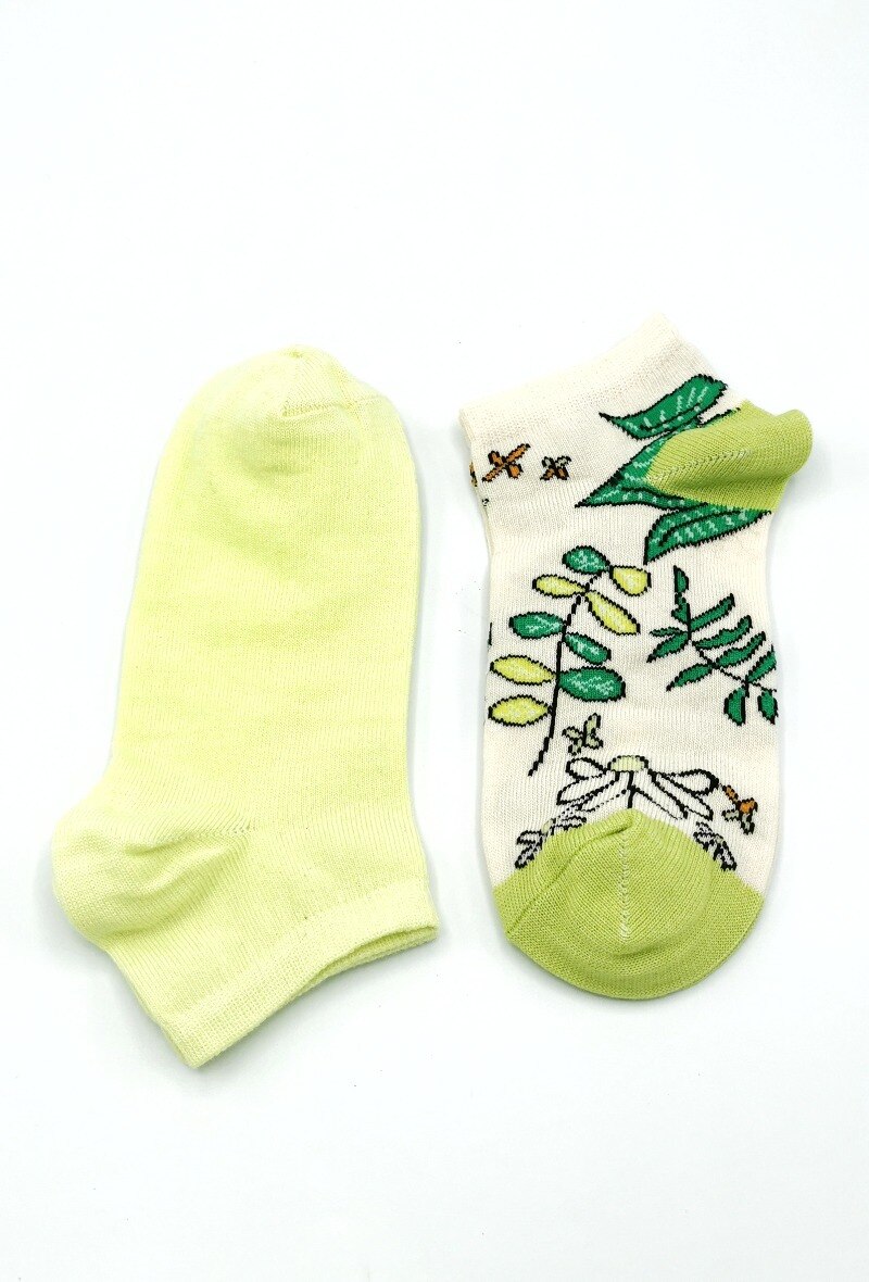 Wholesaler Fabsox - SPRING