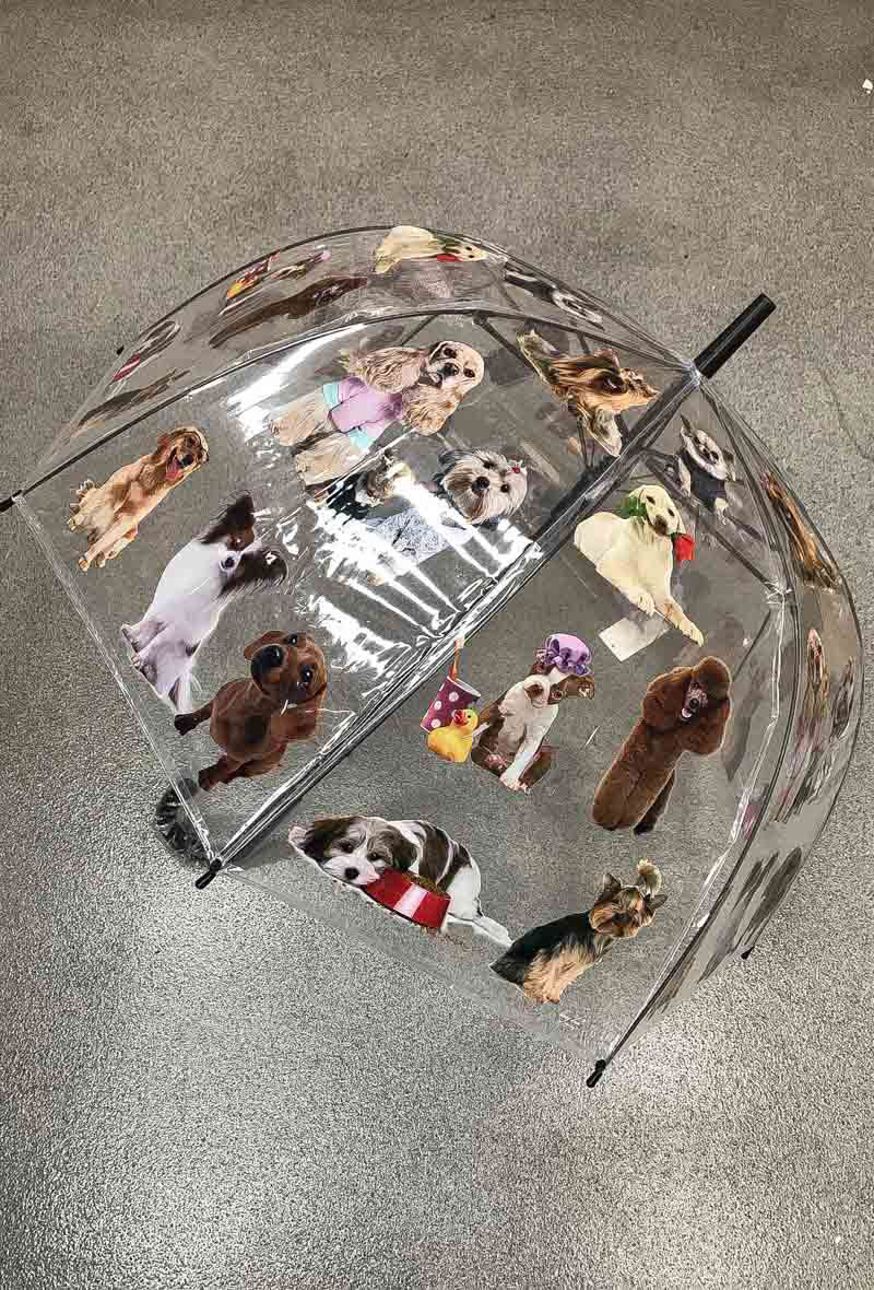 Wholesaler Feelmoon - BELL TRANSPARENT UMBRELLA WITH PRINTS