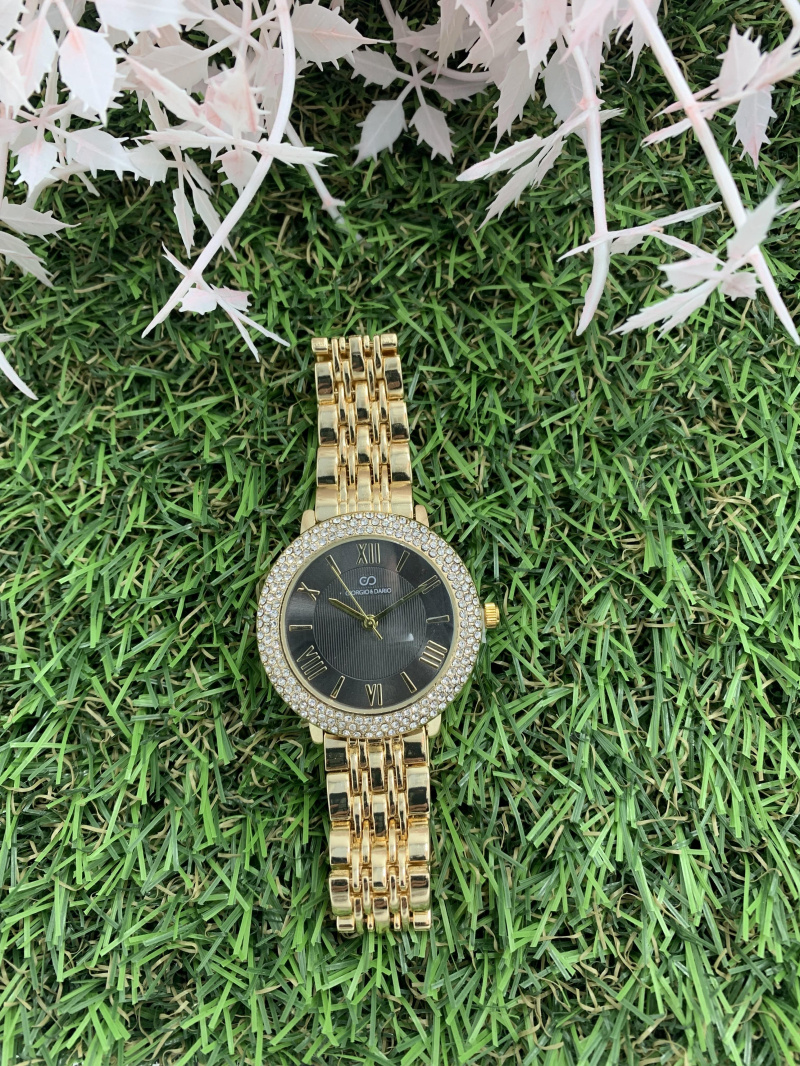 Wholesaler Giorgio & Dario - G&D women's trendy watch