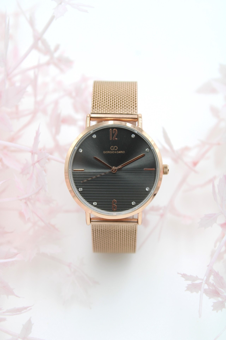 Wholesaler Giorgio & Dario - G&D women's trendy watch