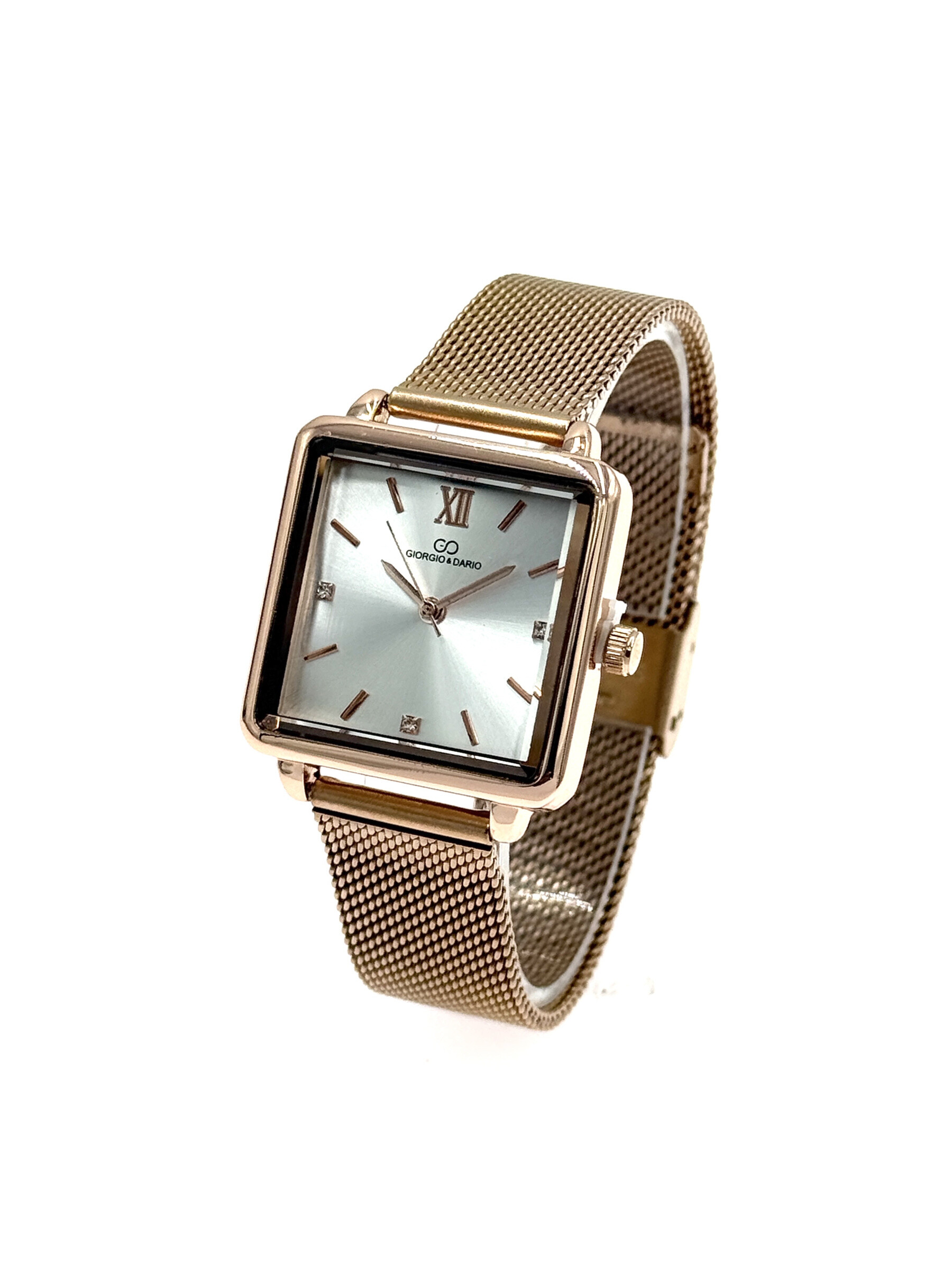 Wholesaler Giorgio & Dario - G&D women's watch with its steel bracelet