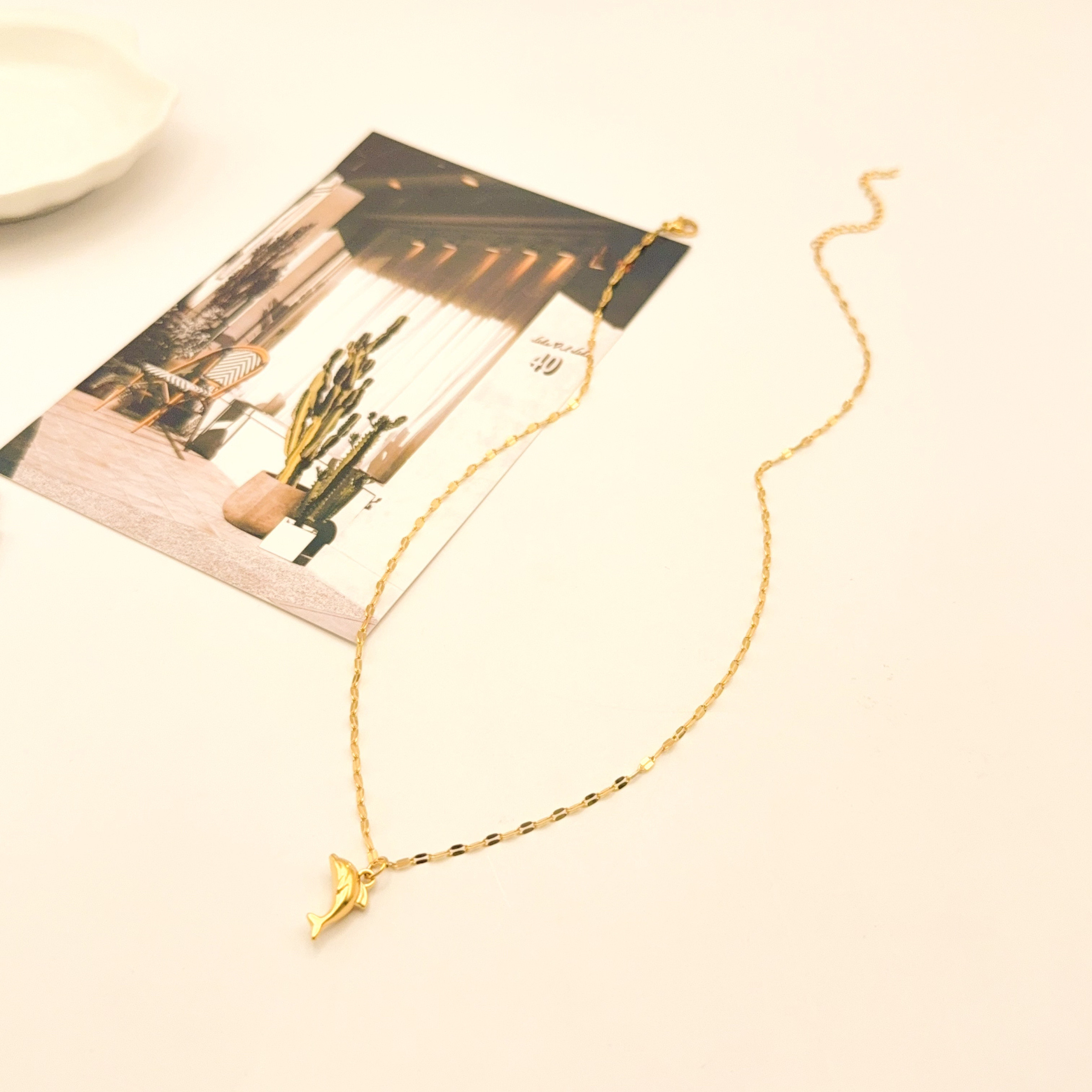 Mayorista H&T Bijoux - Collar de acero inoxidable